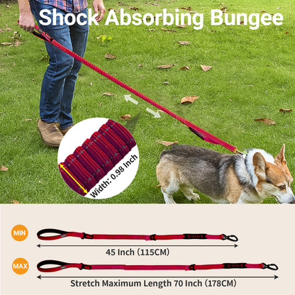 JoyPetto No-Pull Bungee Dog Leash with Seatbelt Clip & Dual Handles