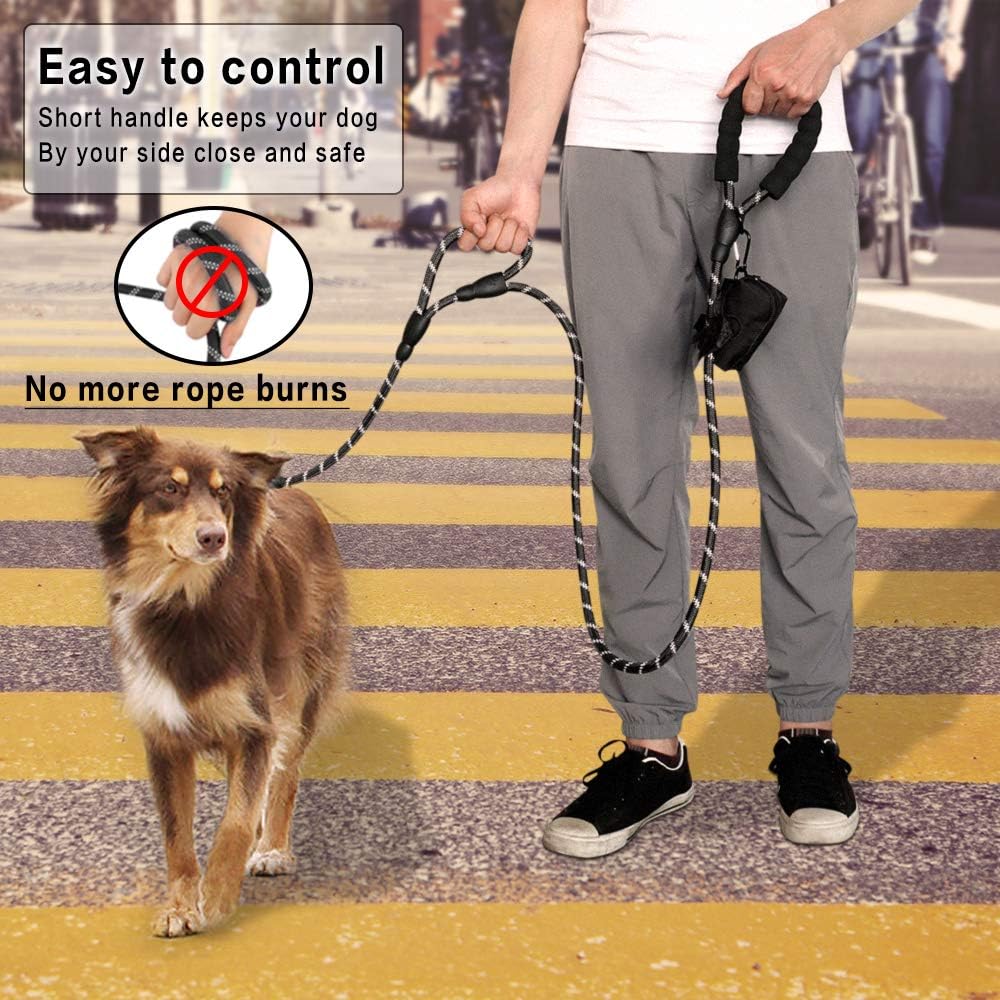 JoyPetto 6 ft Reflective Rope Dog Leash with Dual Traffic Handles