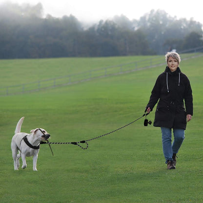 JoyPetto 6 ft Reflective Rope Dog Leash with Dual Traffic Handles