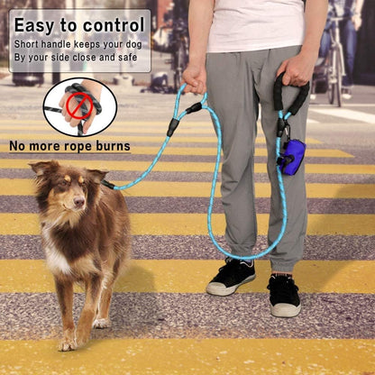 JoyPetto 6 ft Reflective Rope Dog Leash with Dual Traffic Handles