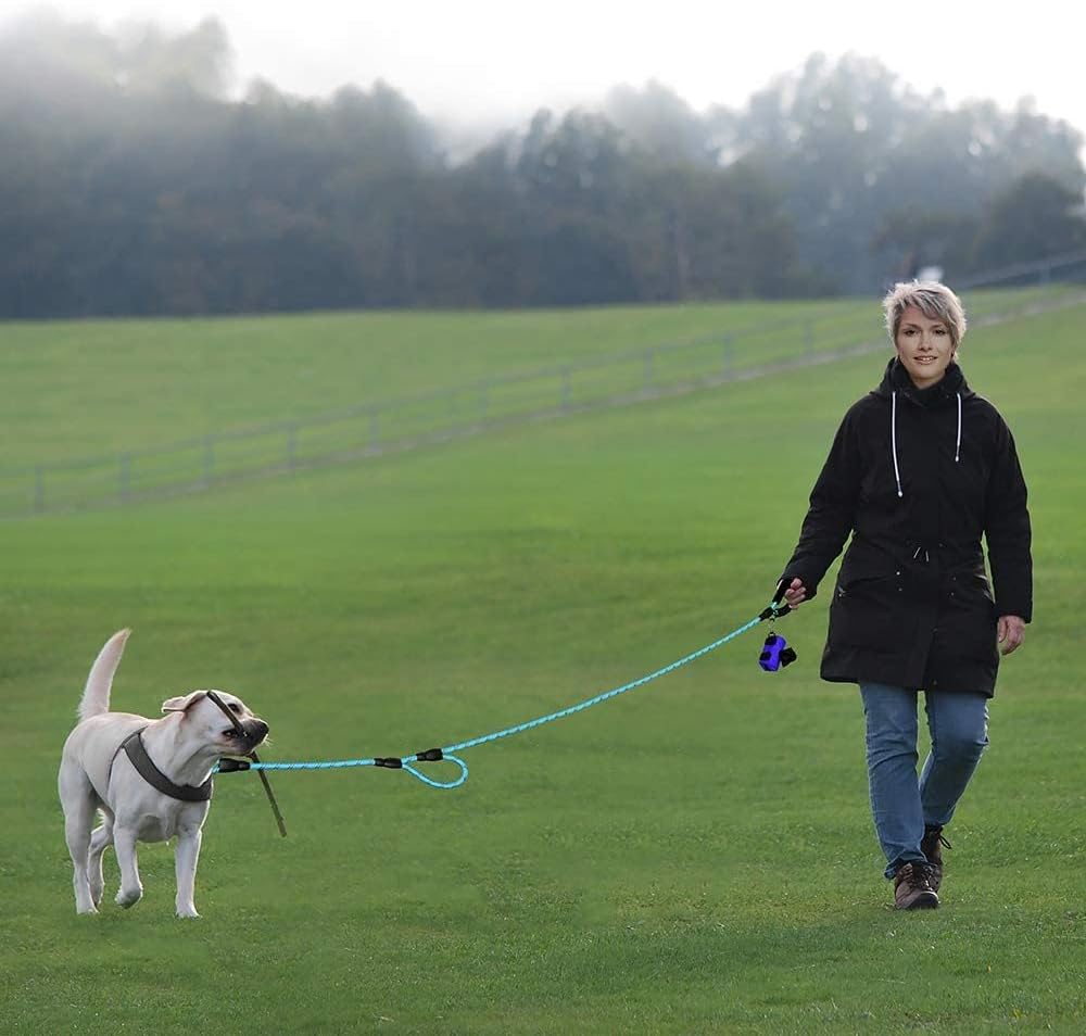 JoyPetto 6 ft Reflective Rope Dog Leash with Dual Traffic Handles