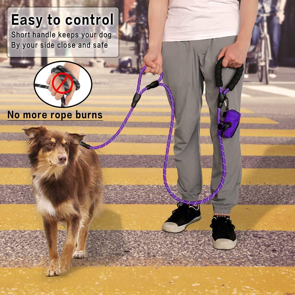 JoyPetto 6 ft Reflective Rope Dog Leash with Dual Traffic Handles