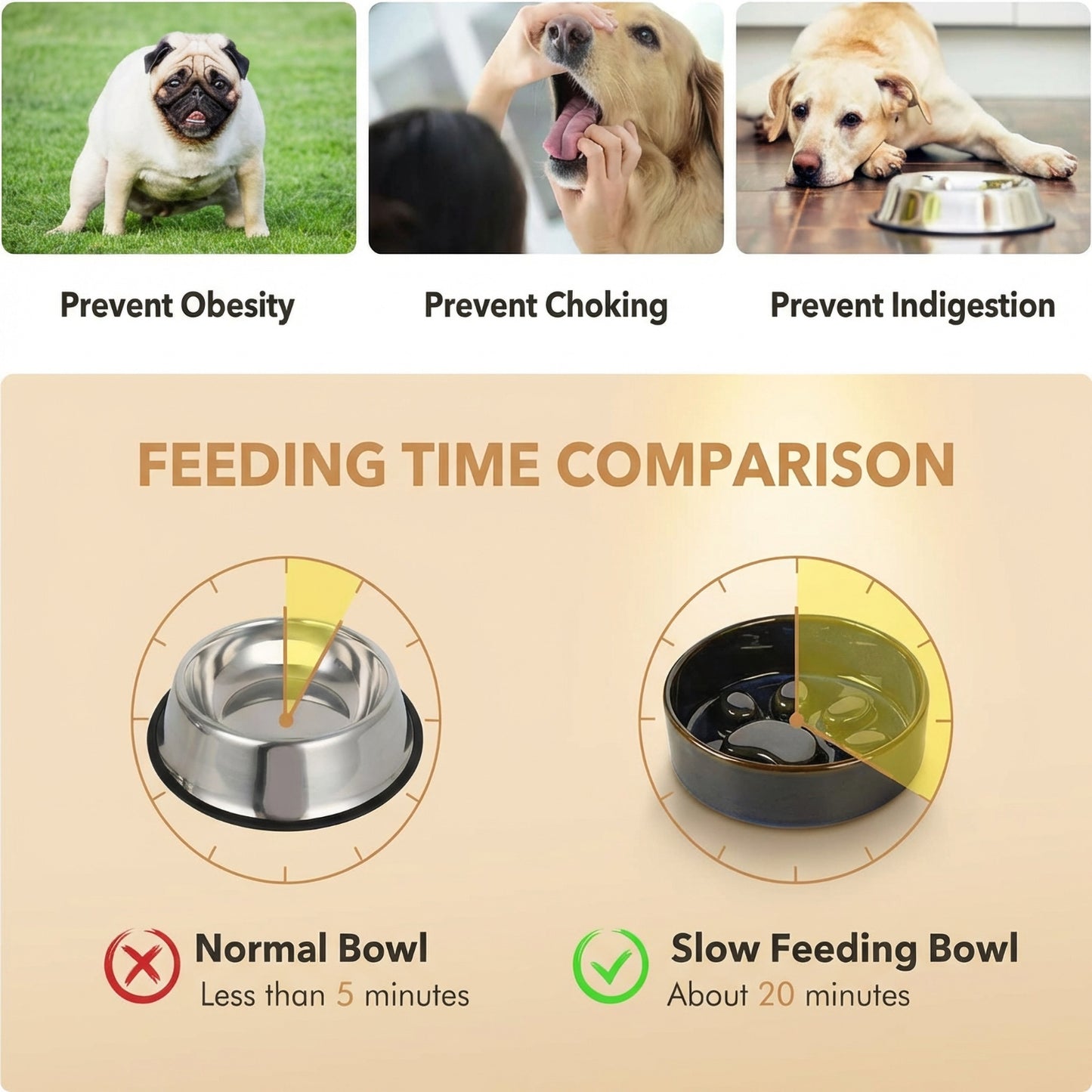 JoyPetto Elevated Ceramic Slow Feeder & Water Bowl Set with Stand