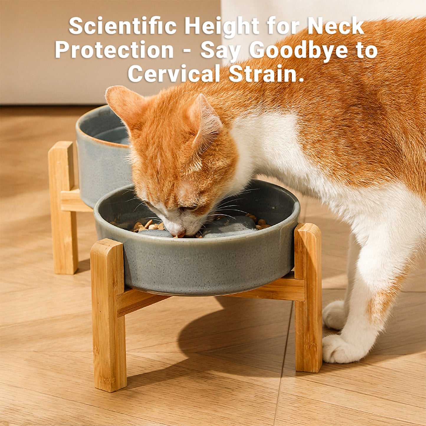 JoyPetto Elevated Ceramic Slow Feeder & Water Bowl Set with Stand