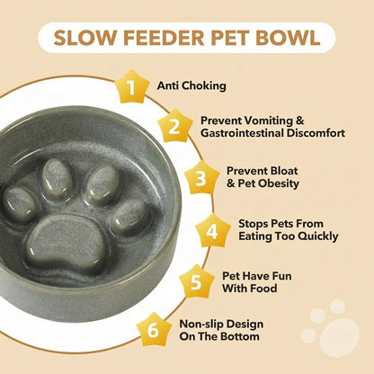 JoyPetto Elevated Ceramic Slow Feeder & Water Bowl Set with Stand