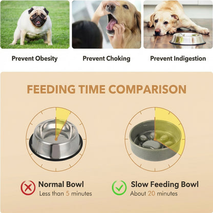 JoyPetto Elevated Ceramic Slow Feeder & Water Bowl Set with Stand